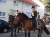 dsc01154.jpg
