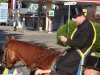 dsc01169.jpg