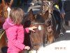 dsc01170.jpg